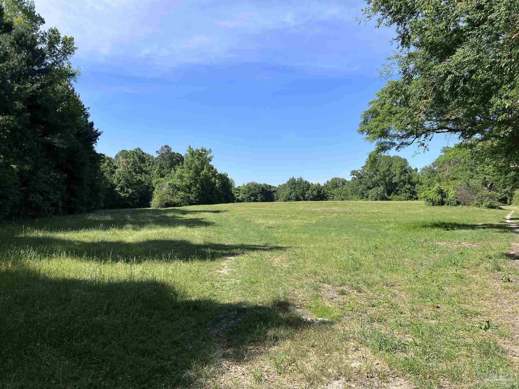 0 Marietta Road Andalusia, AL 36420 - Photo 8 of 27