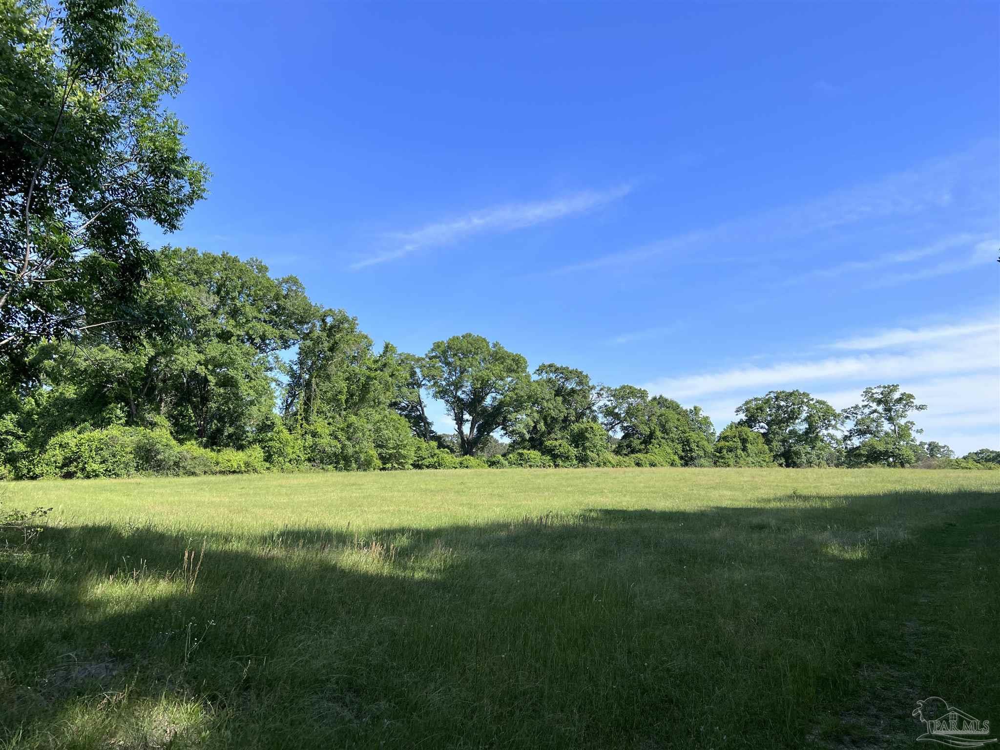 0 Marietta Road Andalusia, AL 36420 - Photo 9 of 27