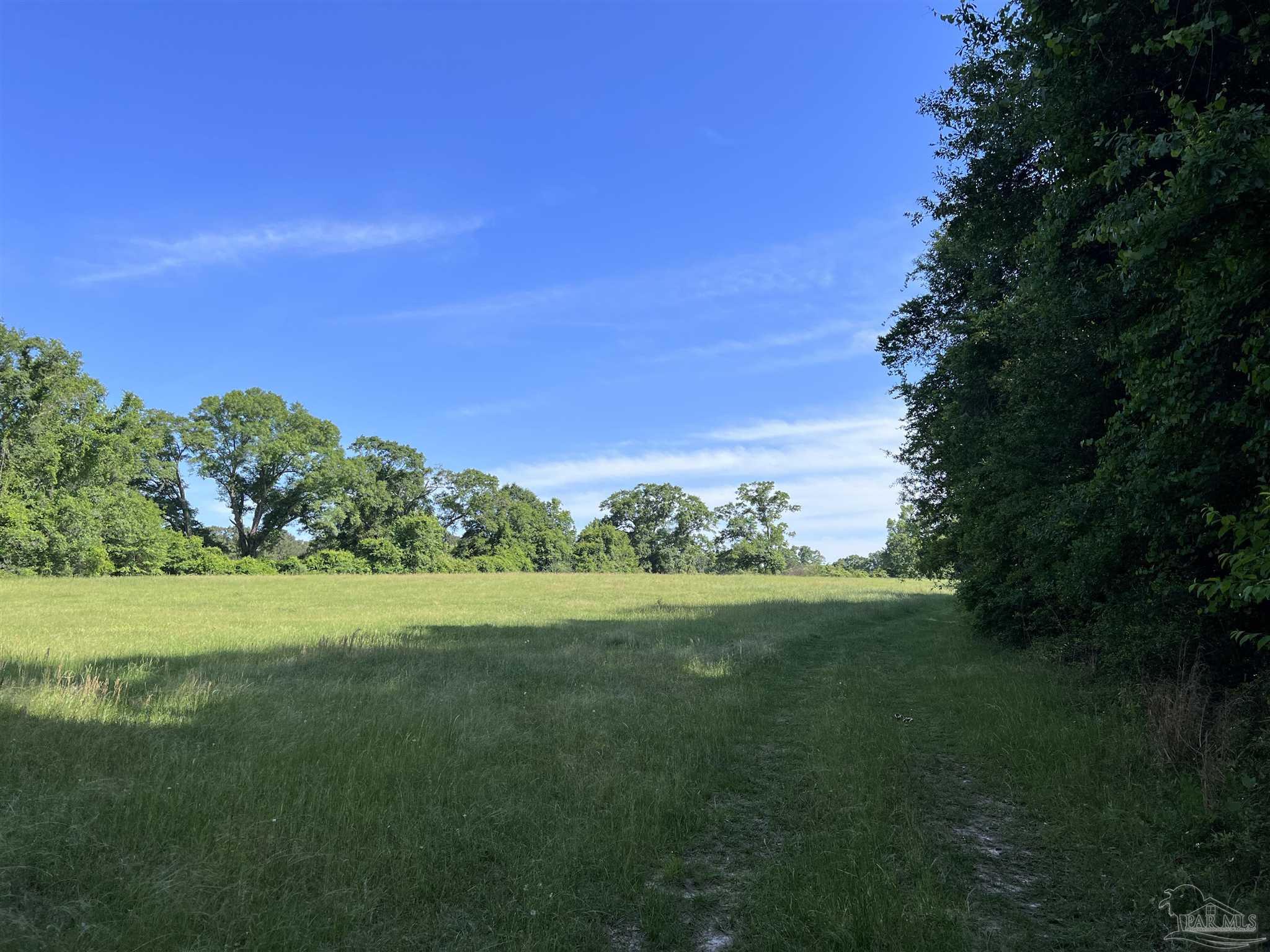 0 Marietta Road Andalusia, AL 36420 - Photo 10 of 27