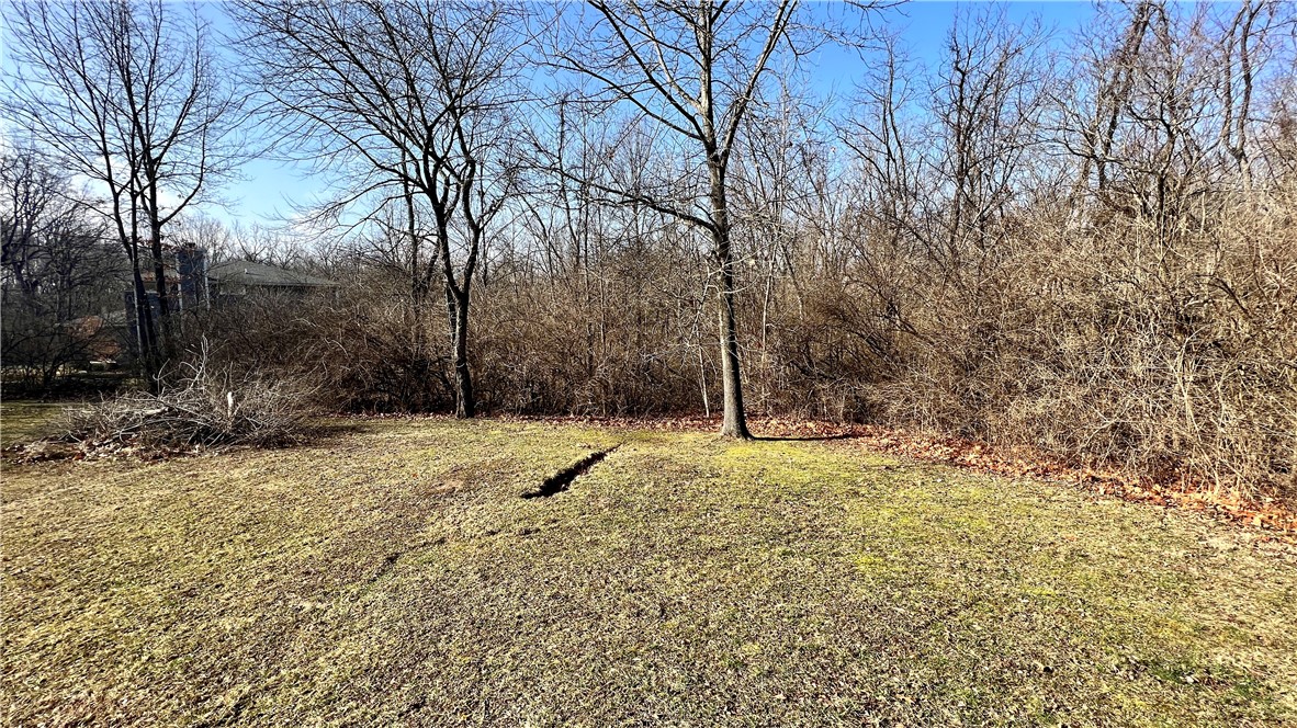 6362 Autumn Ridge Court Decatur, IL 62521 - Photo 32 of 40 a backyard of a house with a trees