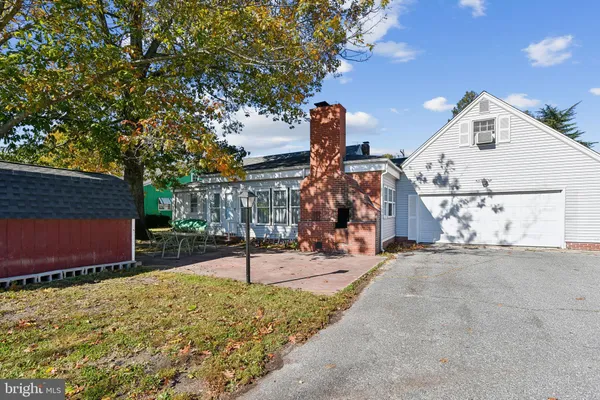 a view of a park with plants and trees