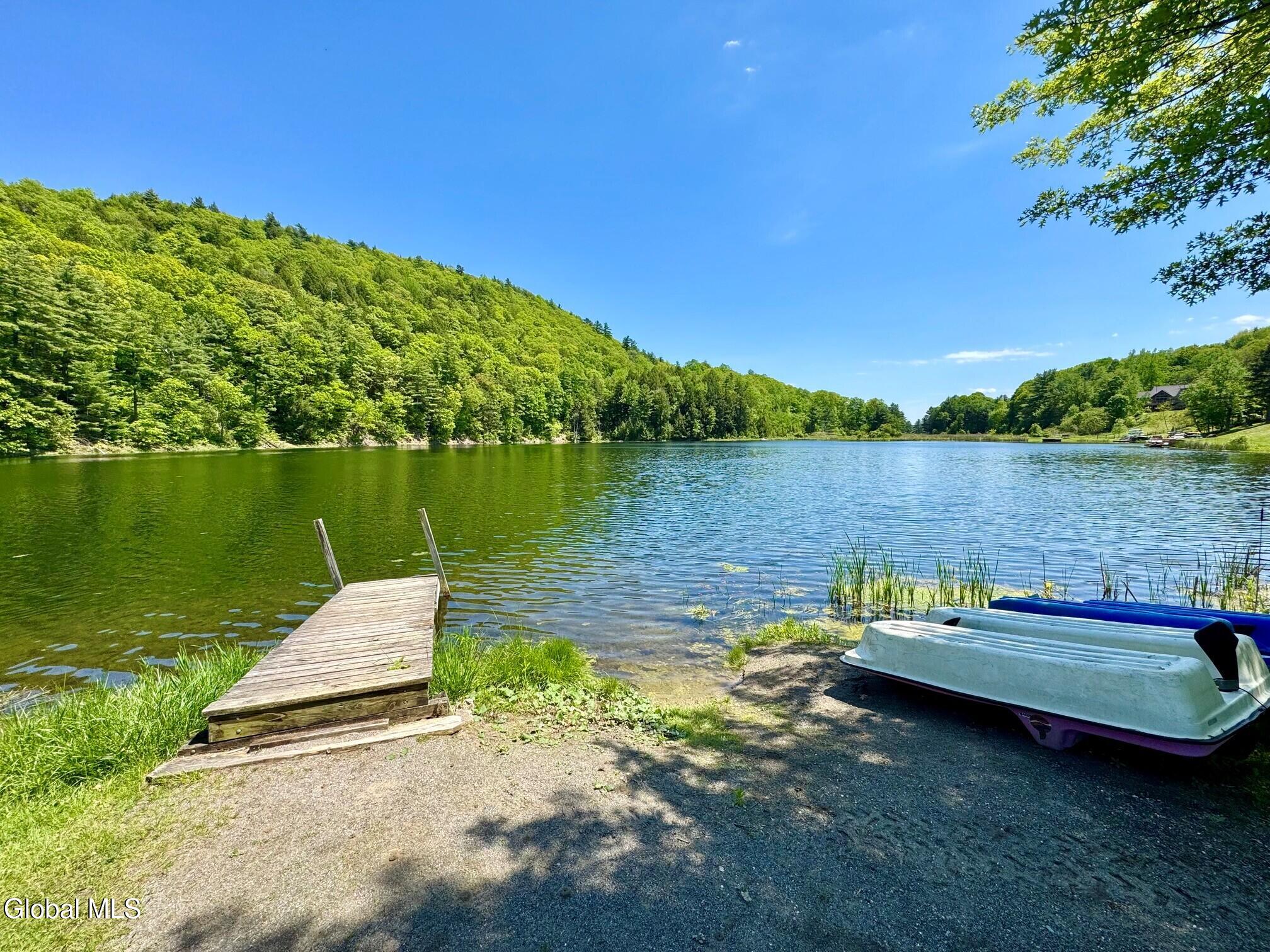 17 Ridgecrest Way Whitehall, NY 12887 - Photo 51 of 56 Doug 60