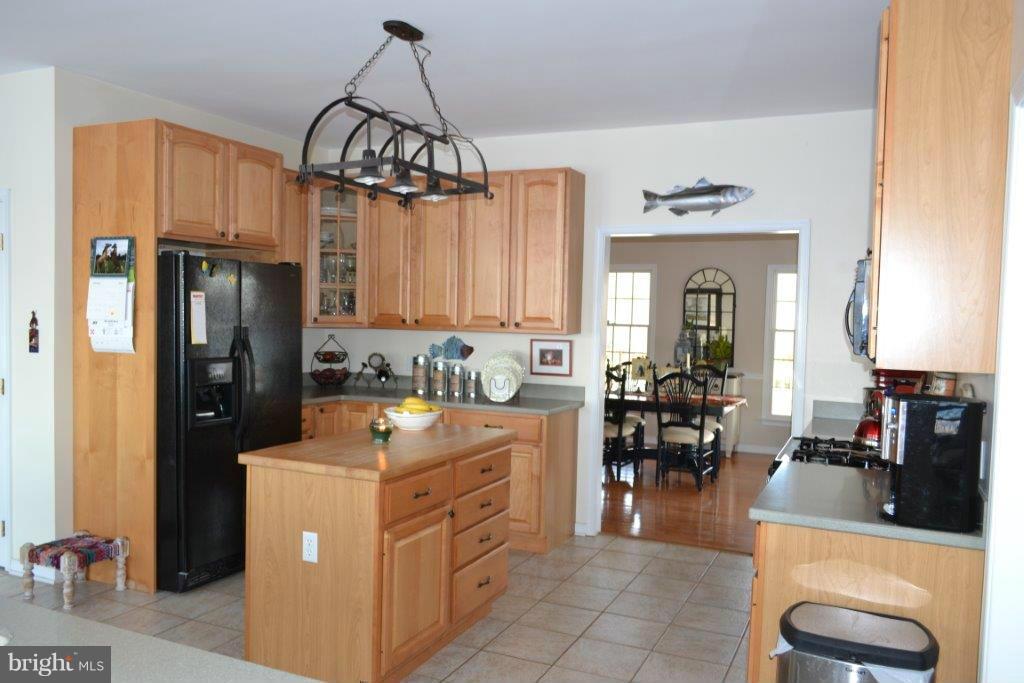 1455 Telegraph Road Rising Sun, MD 21911 - Photo 4 of 27 Gourmet Kitchen- Corian