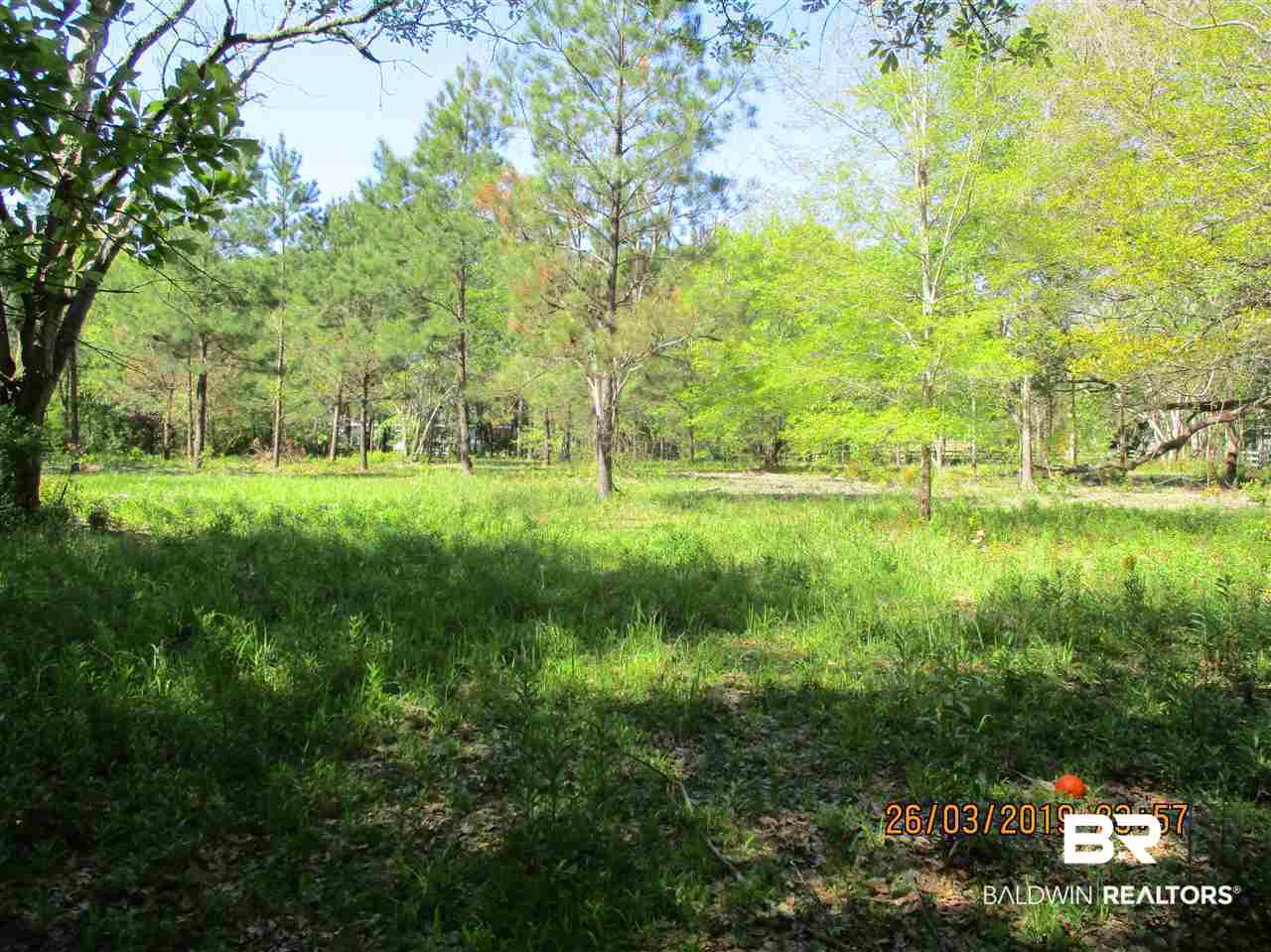 9889 Mosley Road Fairhope, AL 36532 - Photo 4 of 17