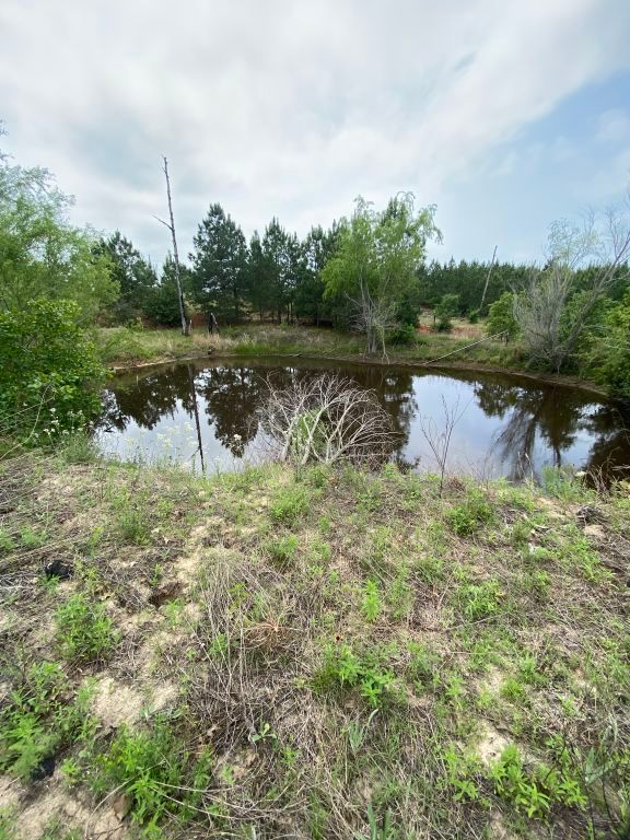 538 Cottle Town Road Smithville, TX 78957 - Photo 29 of 38 a body of water with a tree in the background