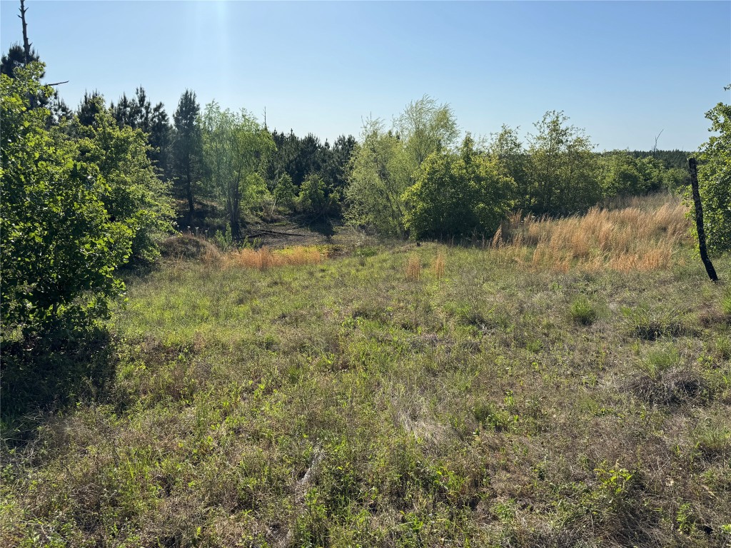 538 Cottle Town Road Smithville, TX 78957 - Photo 30 of 38 a view of a lake with trees in the background