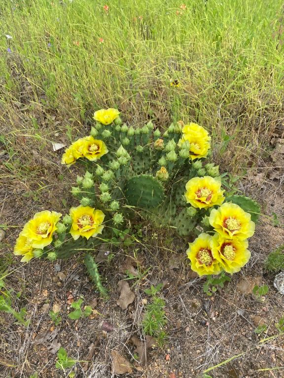 538 Cottle Town Road Smithville, TX 78957 - Photo 33 of 38 a bathroom with a sink