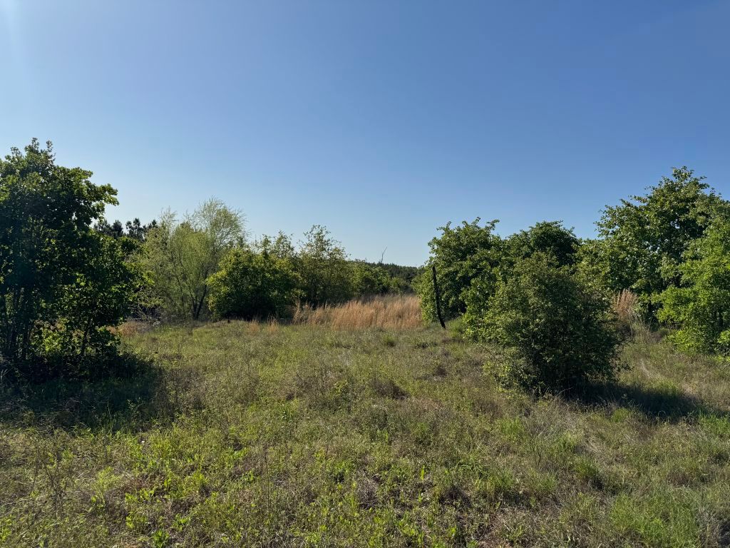538 Cottle Town Road Smithville, TX 78957 - Photo 34 of 38 a view of a field of grass and trees
