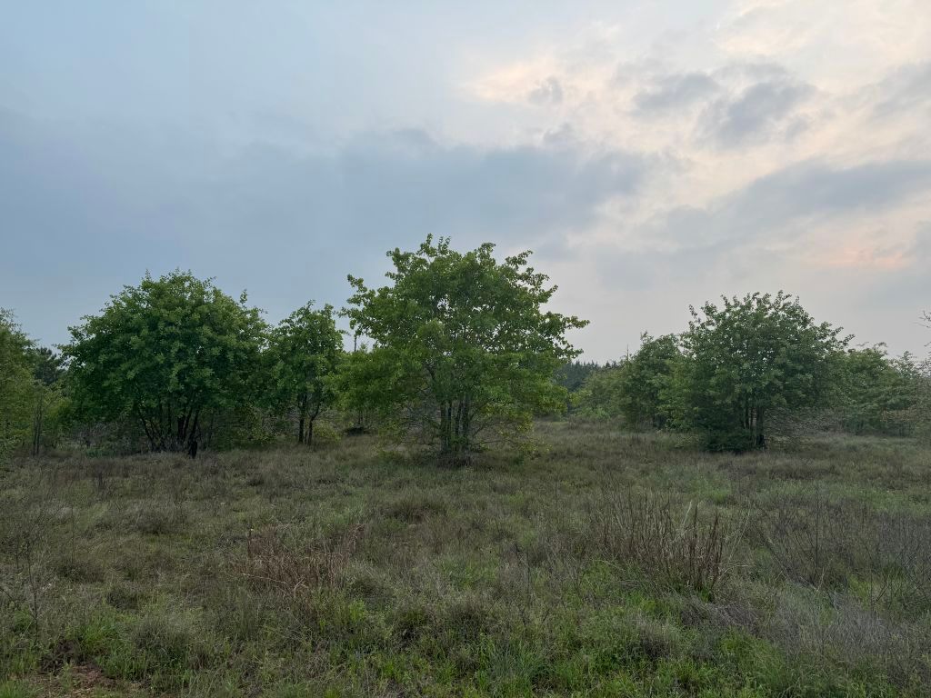 538 Cottle Town Road Smithville, TX 78957 - Photo 35 of 38 a view of a field of grass and trees