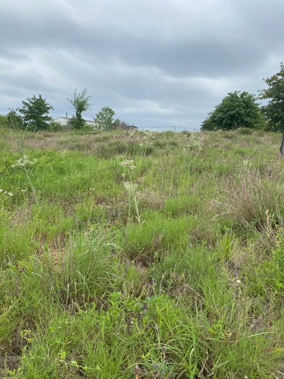 538 Cottle Town Road Smithville, TX 78957 - Photo 36 of 38 a view of a green field with lots of bushes