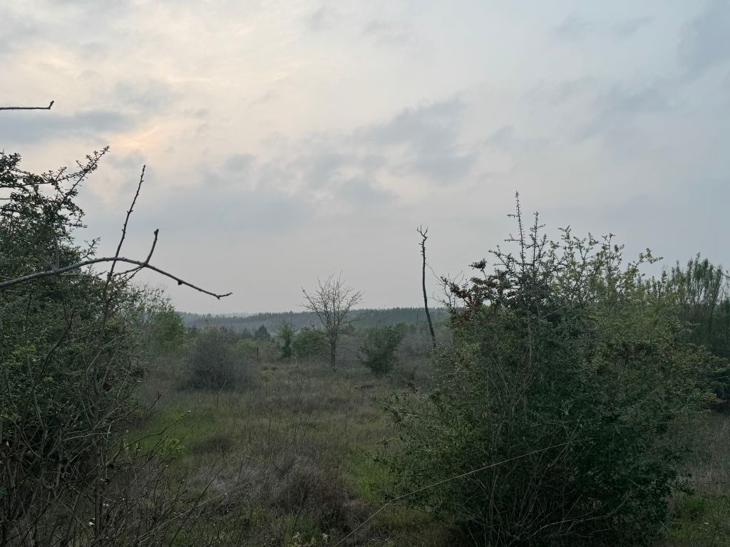 538 Cottle Town Road Smithville, TX 78957 - Photo 37 of 38 a view of a yard
