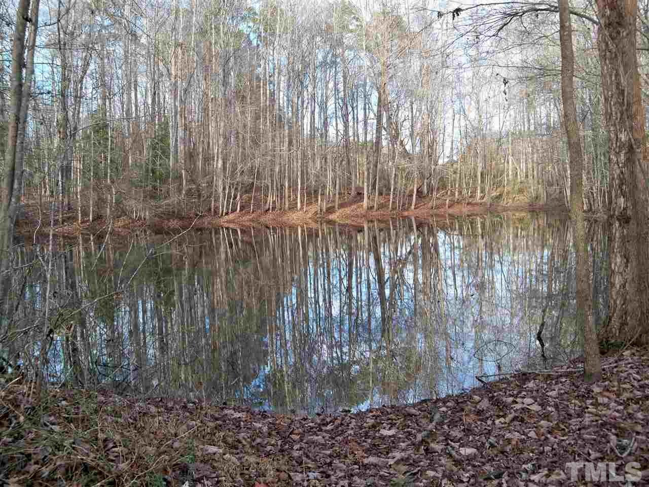 0 Rocky Cross Road Spring Hope, NC 27882 - Photo 11 of 13