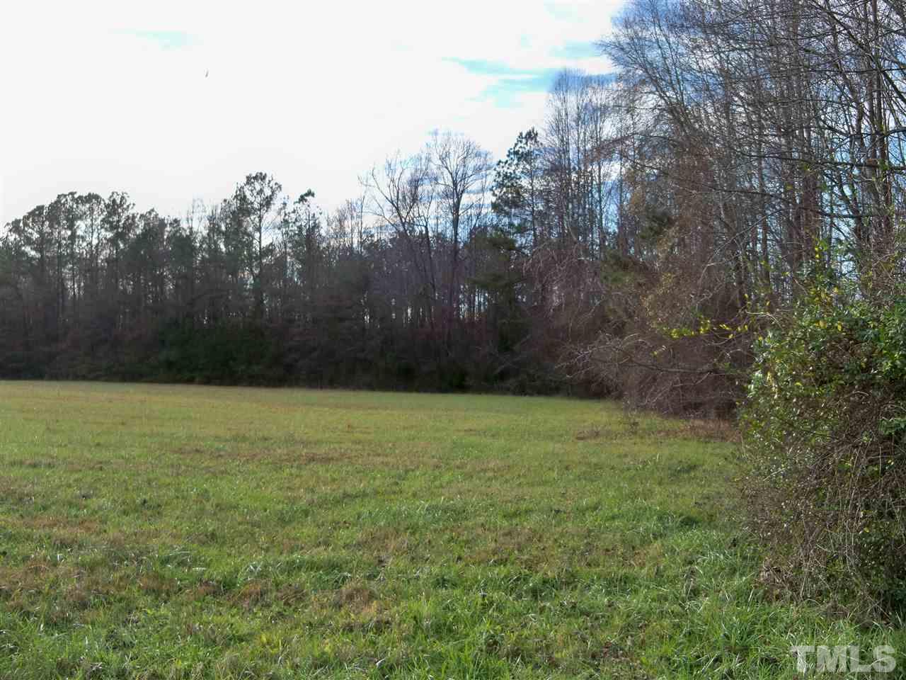 0 Rocky Cross Road Spring Hope, NC 27882 - Photo 6 of 13