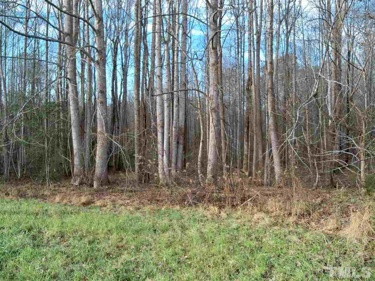 0 Rocky Cross Road Spring Hope, NC 27882 - Photo 7 of 13