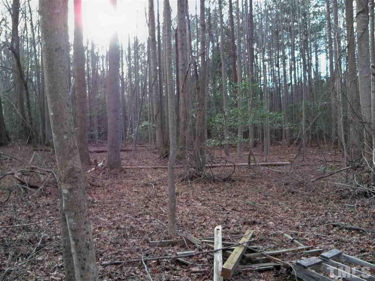 0 Rocky Cross Road Spring Hope, NC 27882 - Photo 9 of 13