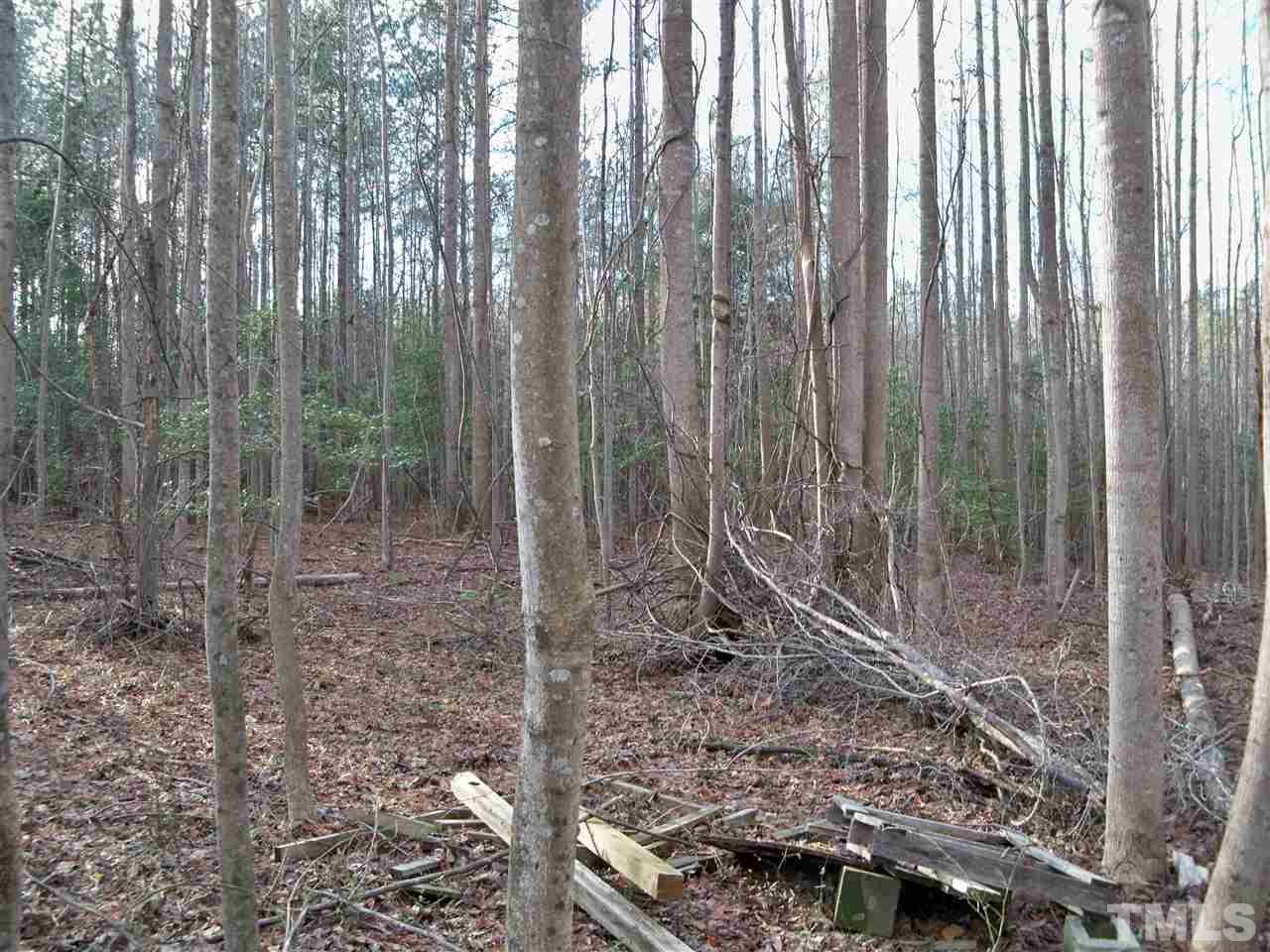 0 Rocky Cross Road Spring Hope, NC 27882 - Photo 10 of 13