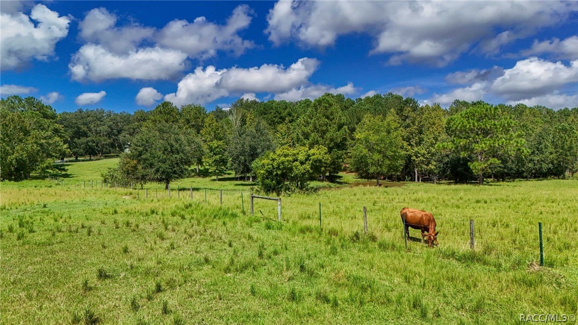 9759 South Pleasant Grove Road Inverness, FL 34452 - Photo 83 of 90 Gallery Image 83