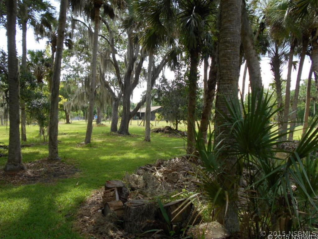 4222 Clinton Cemetery Road Edgewater, FL 32141 - Photo 11 of 24 Gallery Image 11