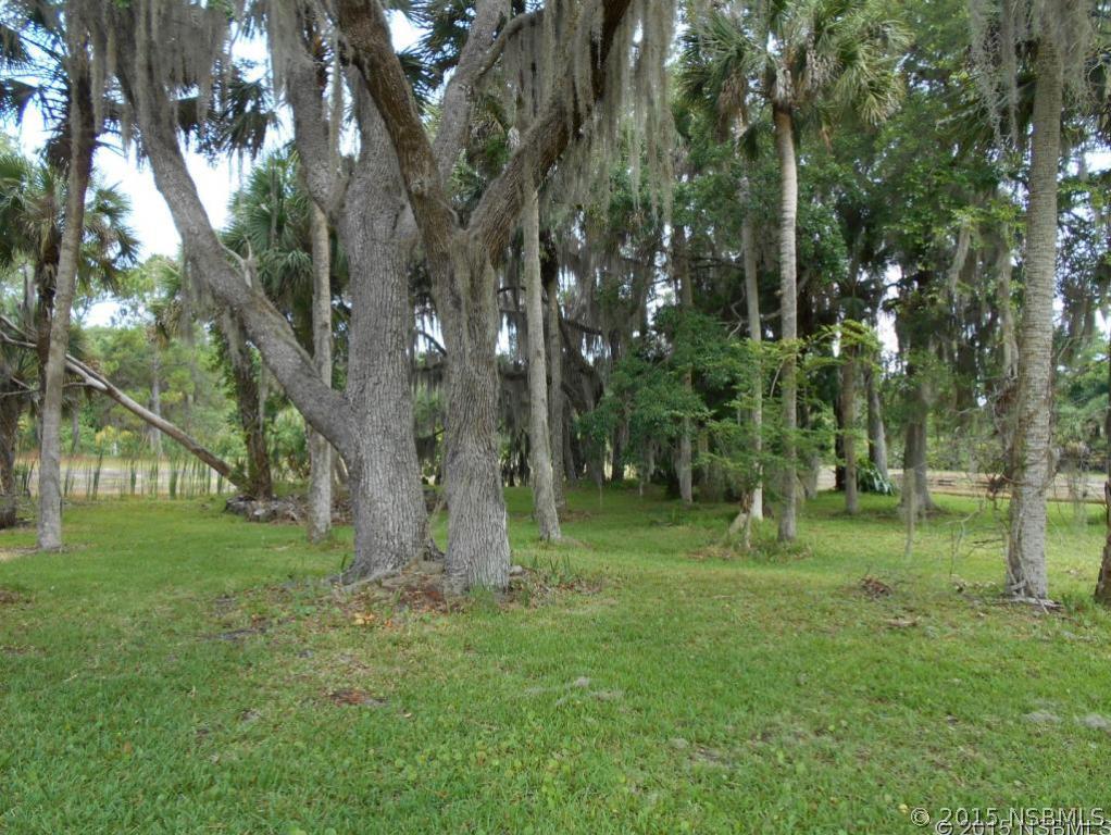 4222 Clinton Cemetery Road Edgewater, FL 32141 - Photo 12 of 24 Gallery Image 12