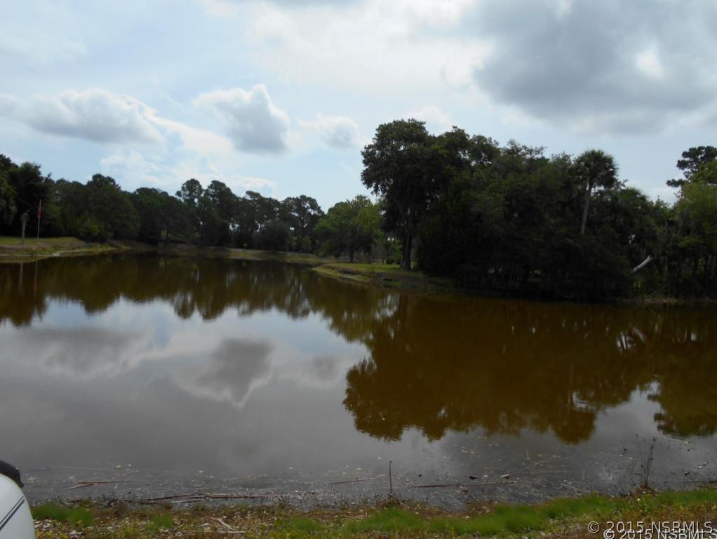 4222 Clinton Cemetery Road Edgewater, FL 32141 - Photo 10 of 24 Gallery Image 10