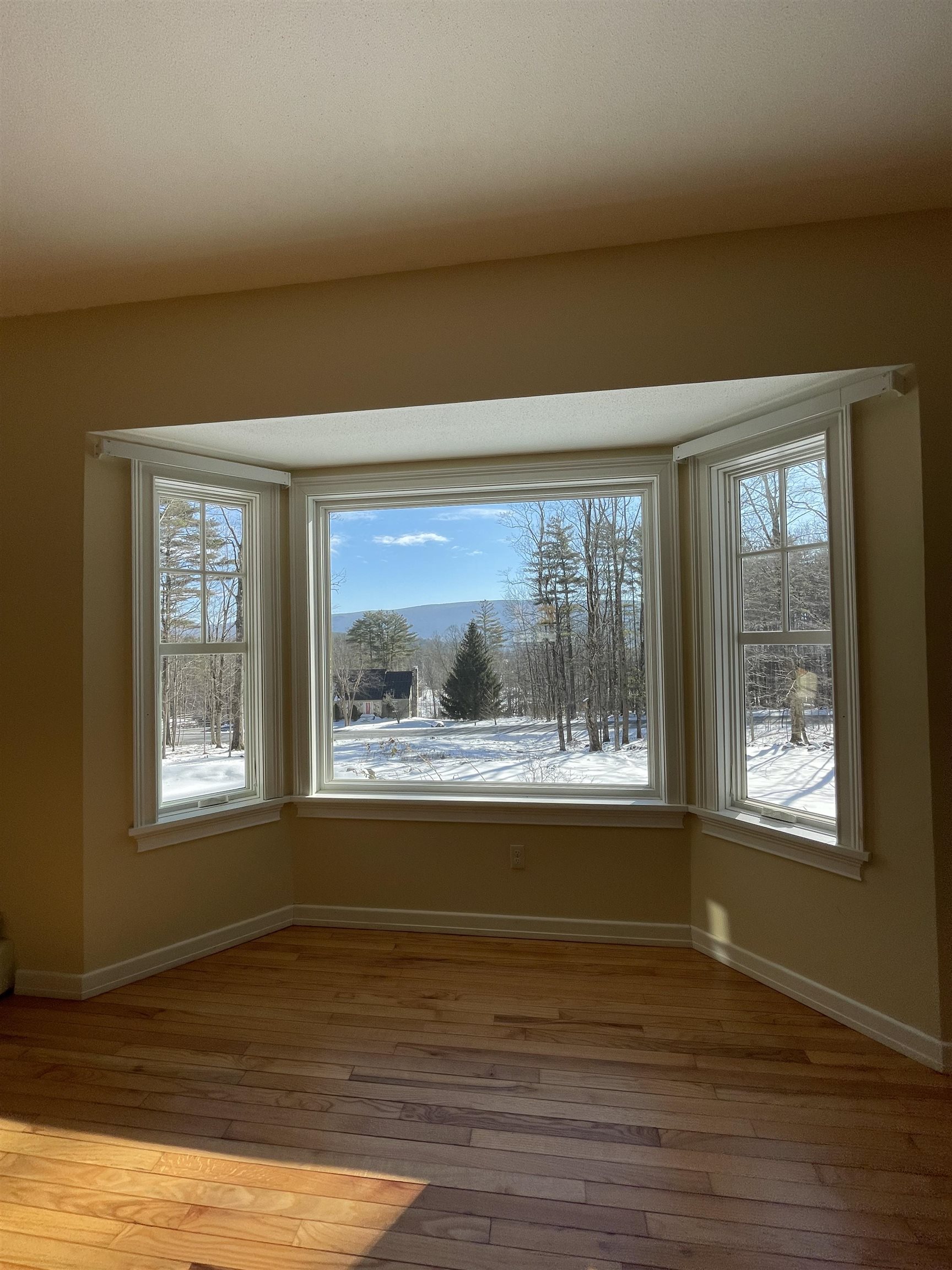 1145 Powder-Horn Road Manchester, VT 05255 - Photo 24 of 32 Gallery Image 24