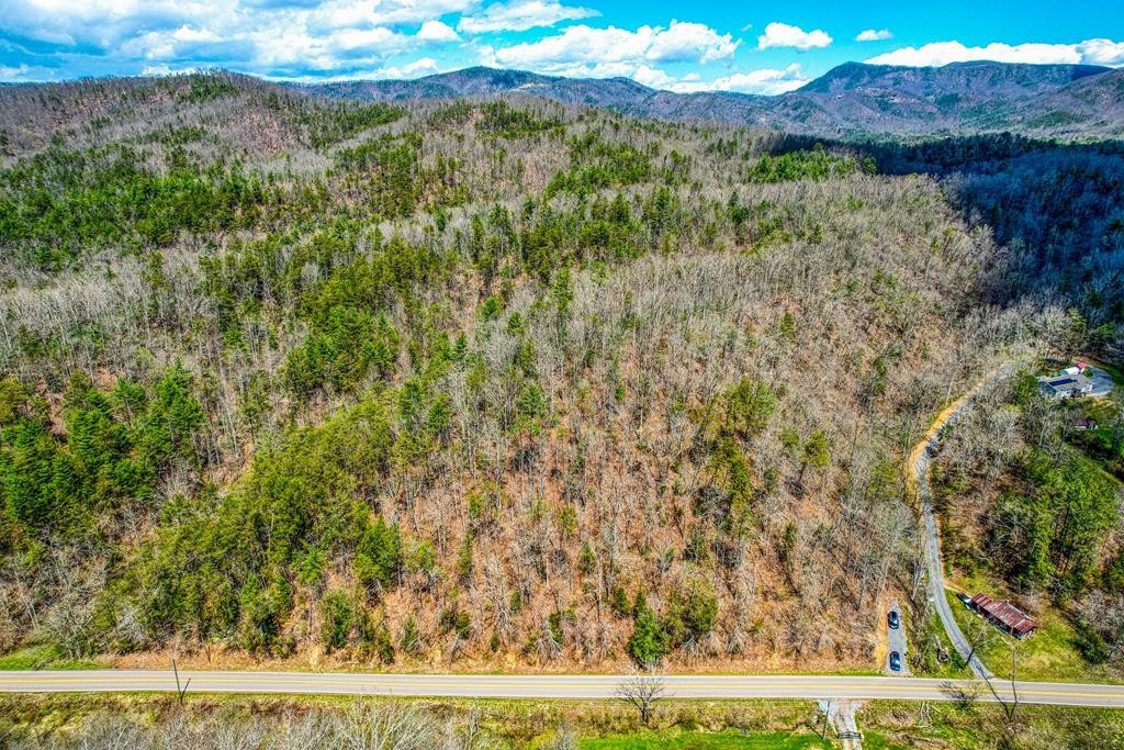 1 Jones Cove Road Sevierville, TN 37876 - Photo 1 of 14 Gallery Image 1