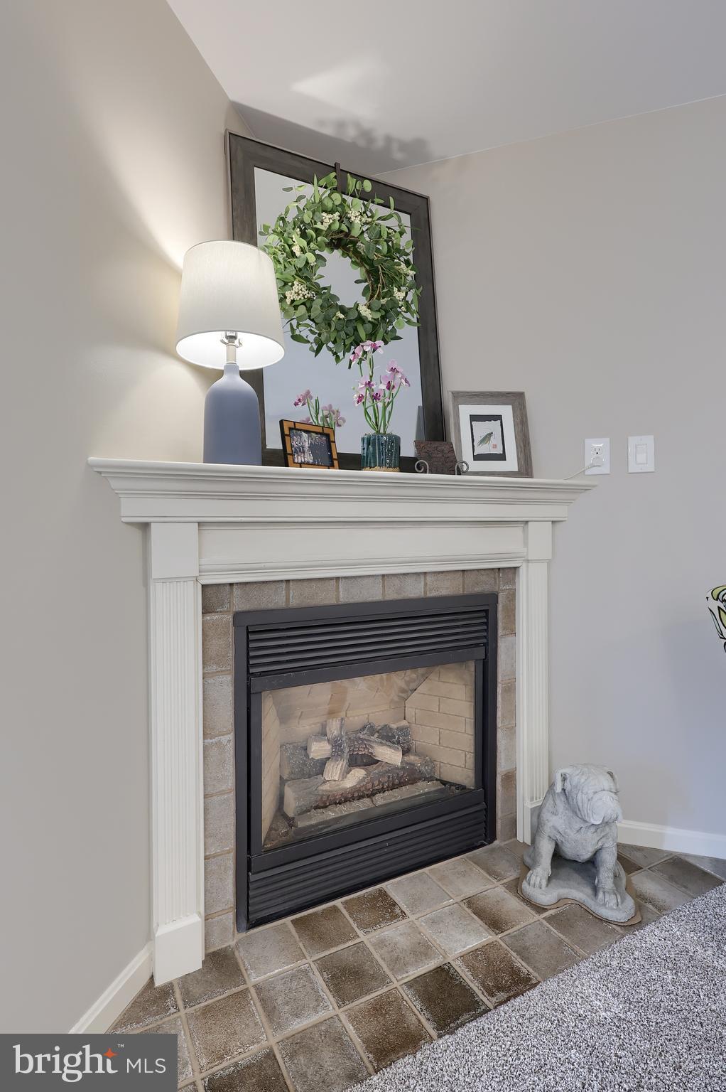 35 Field Lane Lititz, PA 17543 - Photo 11 of 49 a living room with a fireplace