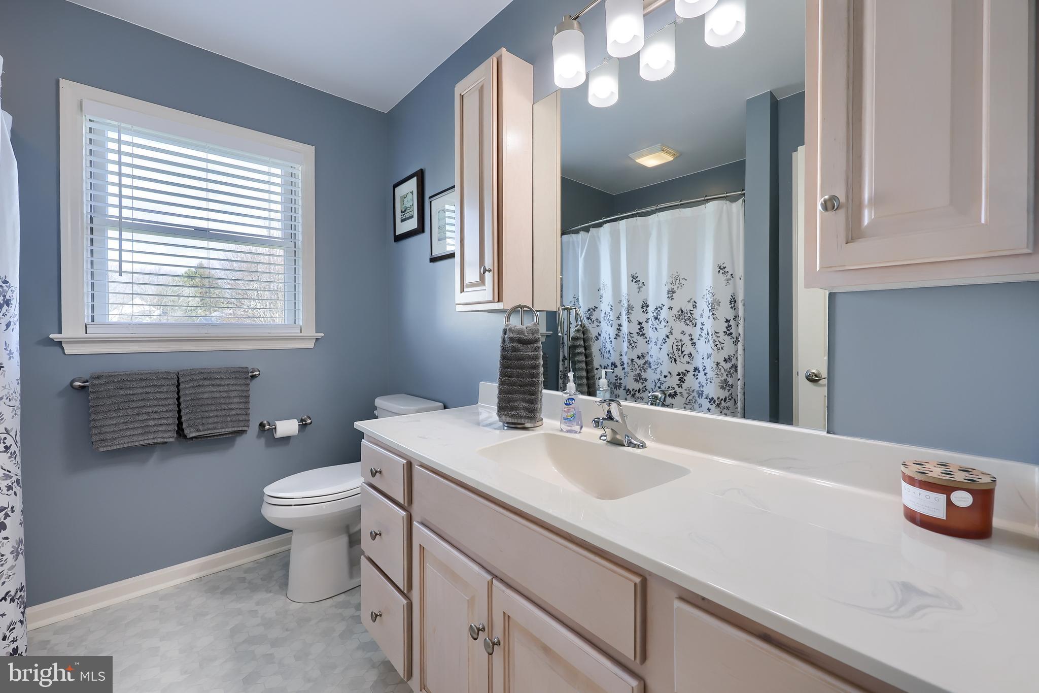 35 Field Lane Lititz, PA 17543 - Photo 29 of 49 a bathroom with a sink toilet and shower