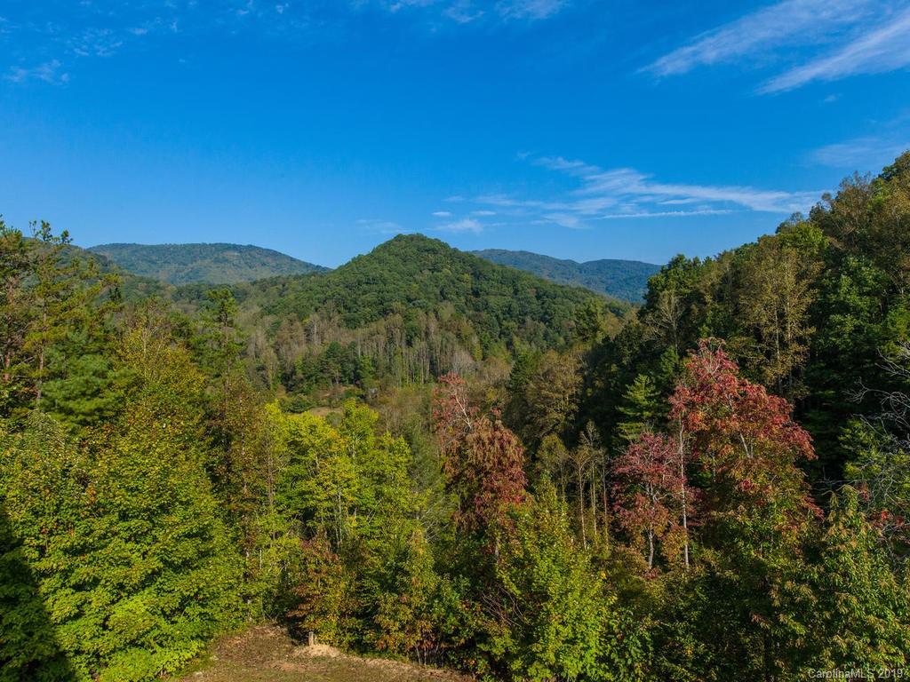 1002 Clarks Branch Road Leicester, NC 28748 - Photo 28 of 33 Gallery Image 28