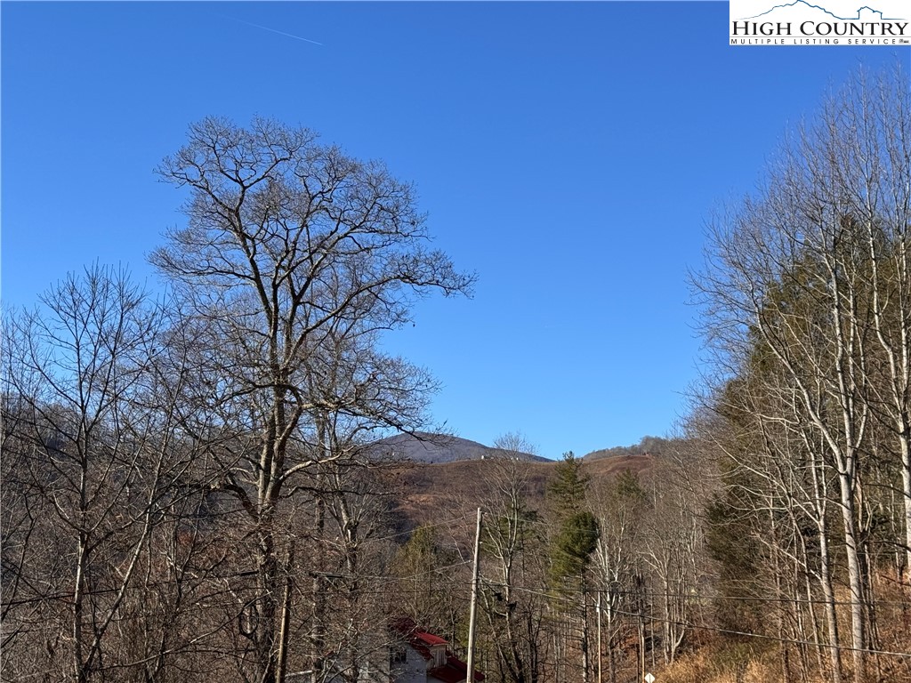 Squirrel Creek Road Newland, NC 28657 - Photo 13 of 28