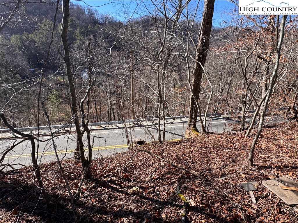 Squirrel Creek Road Newland, NC 28657 - Photo 14 of 28