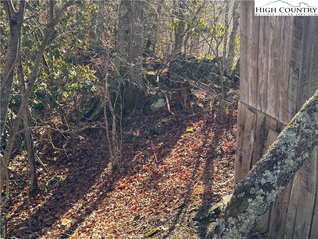 Squirrel Creek Road Newland, NC 28657 - Photo 16 of 28