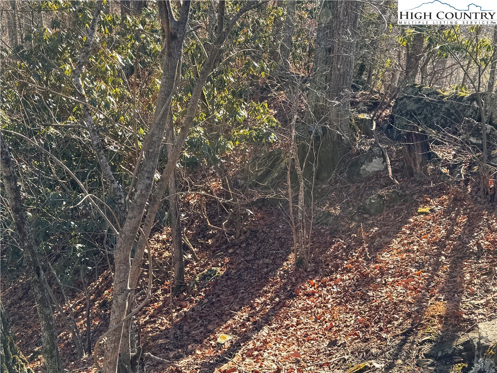 Squirrel Creek Road Newland, NC 28657 - Photo 17 of 28