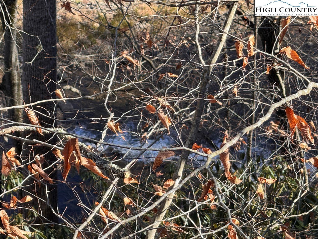 Squirrel Creek Road Newland, NC 28657 - Photo 18 of 28