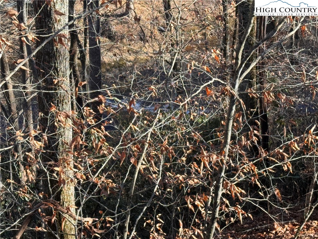 Squirrel Creek Road Newland, NC 28657 - Photo 20 of 28