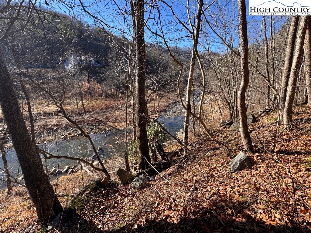 Squirrel Creek Road Newland, NC 28657 - Photo 3 of 28