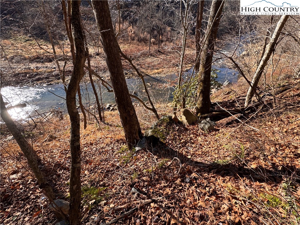 Squirrel Creek Road Newland, NC 28657 - Photo 5 of 28