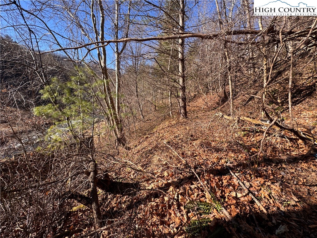 Squirrel Creek Road Newland, NC 28657 - Photo 8 of 28