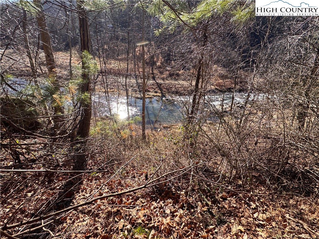 Squirrel Creek Road Newland, NC 28657 - Photo 10 of 28