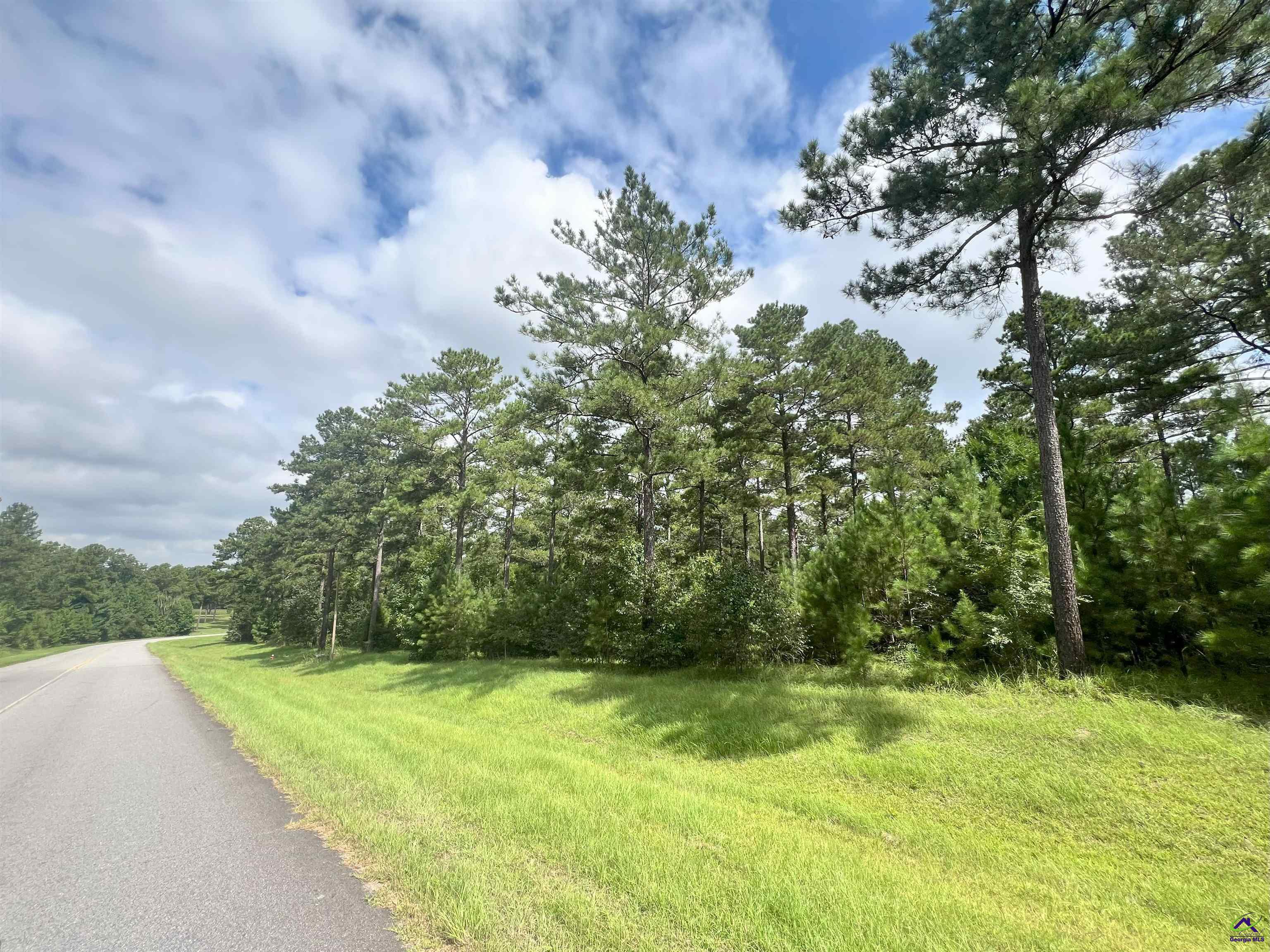 5.41-acres) Redridge Lane Perry, GA 31069 - Photo 3 of 9