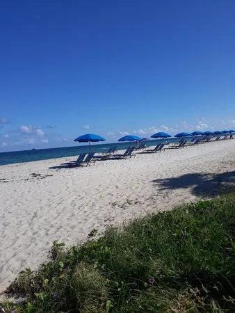a view of beach and ocean