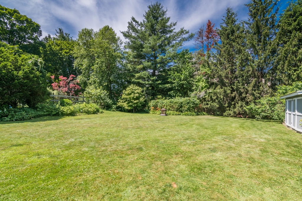 116 High Street Amherst, MA 01002 - Photo 40 of 42 a view of a garden