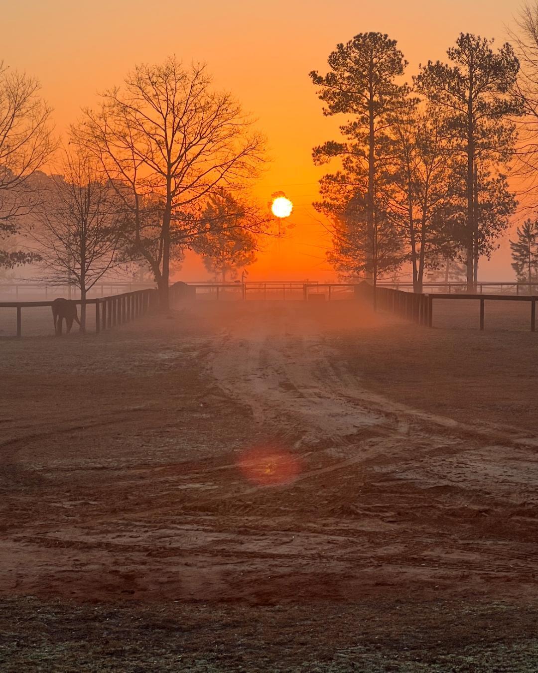657 Tolt Trail Aiken, SC 29801 - Photo 41 of 55 tolt sun 2
