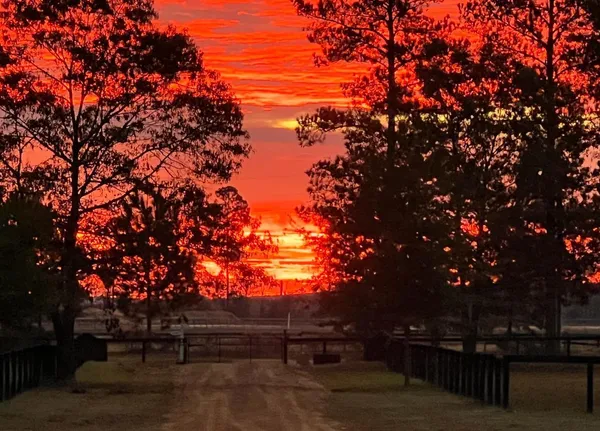 $639,900 | 657 Tolt Trail, Aiken, SC 29801