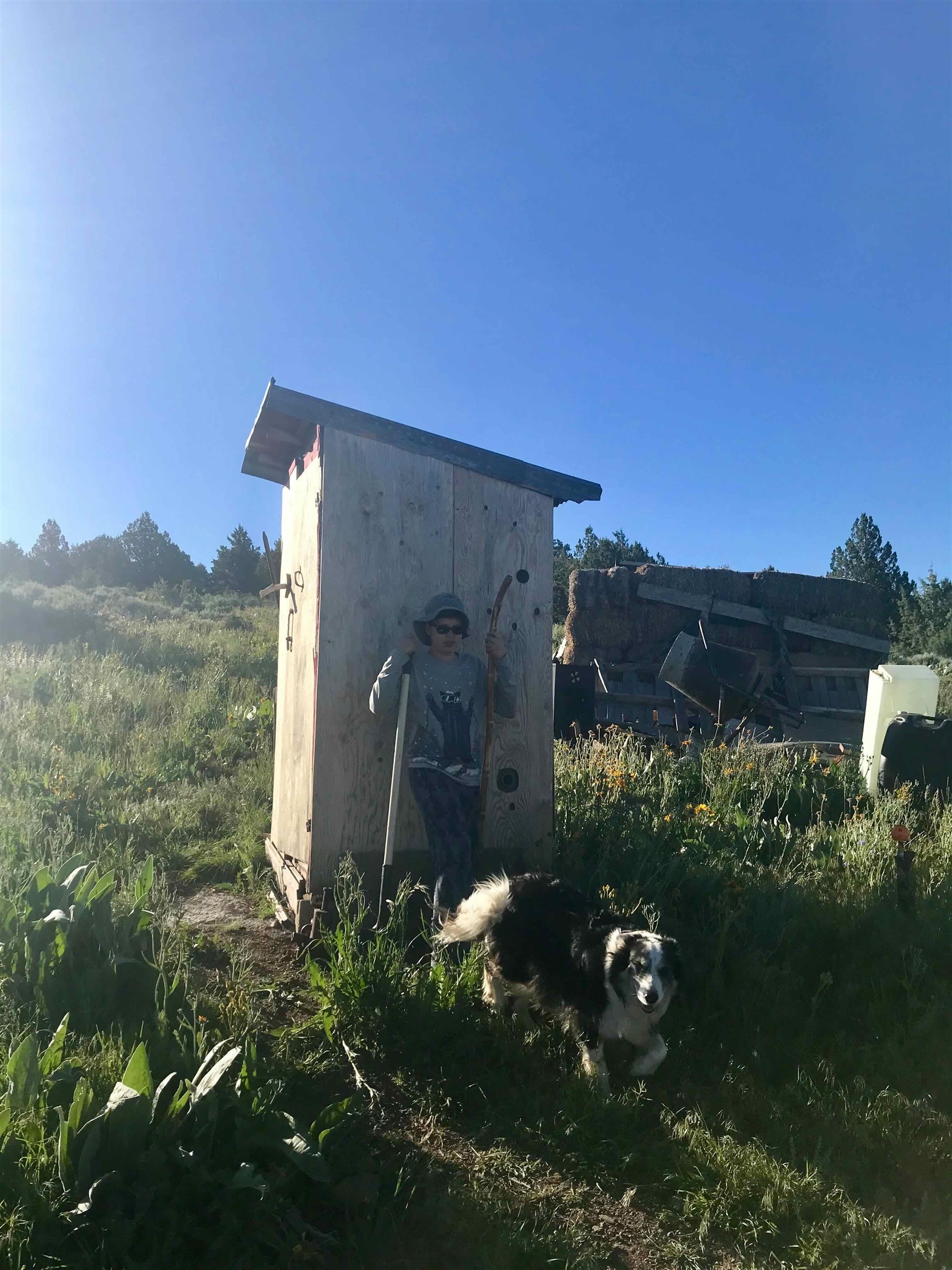 20 Marmot Road Madeline, CA 96119 - Photo 4 of 8