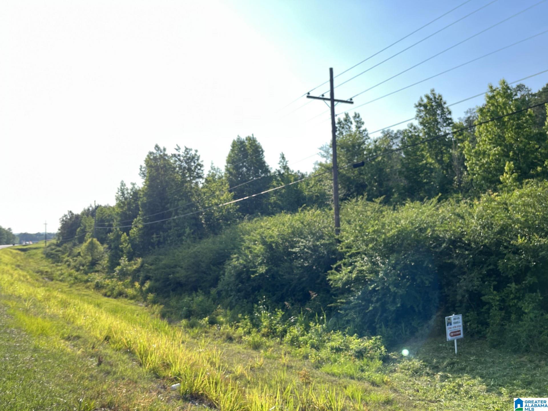 0 Highway 144, Unit 1 Ohatchee, AL 36271 - Photo 10 of 11