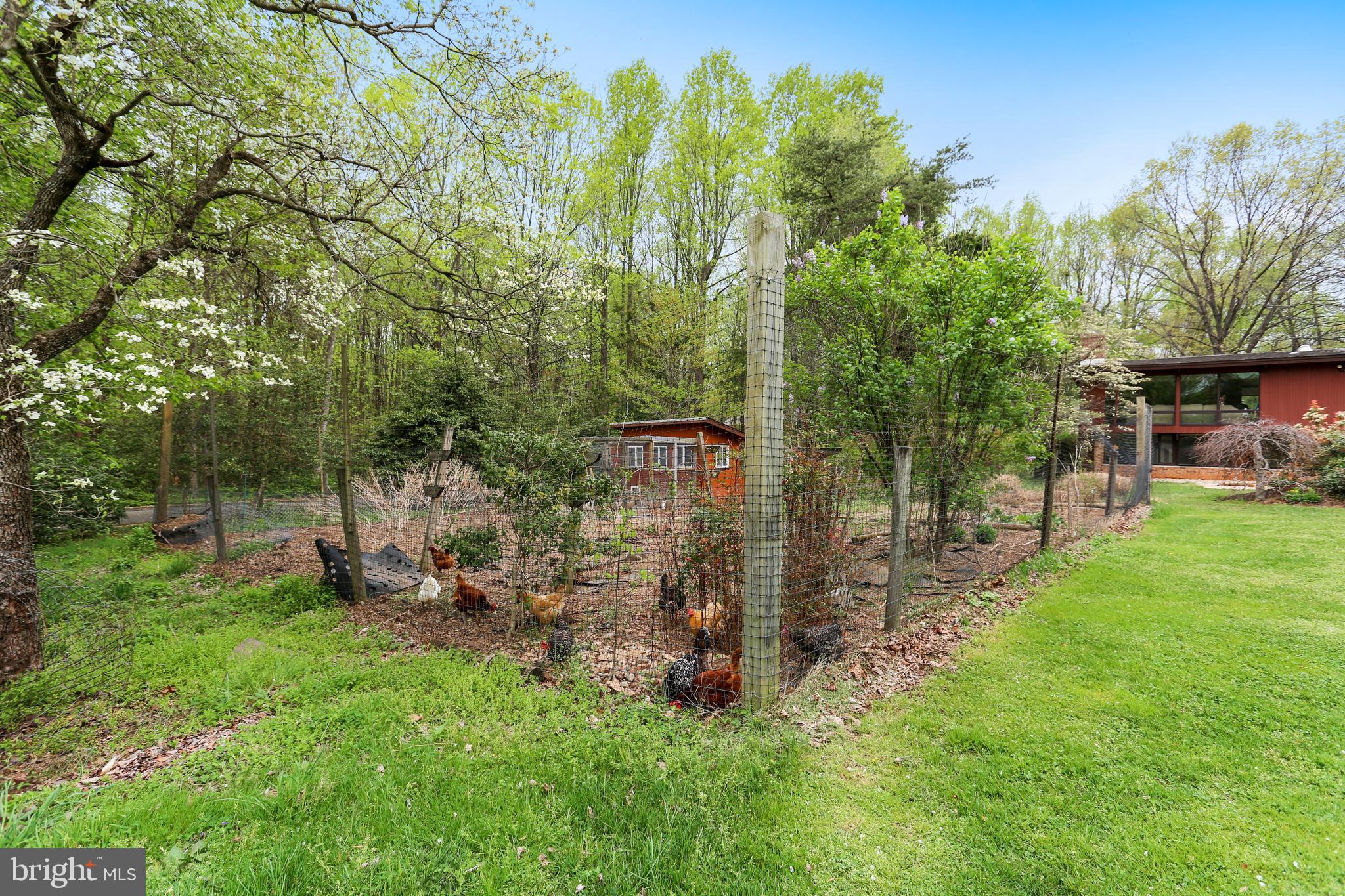 205 Bryants Nursery Road Silver Spring, MD 20905 - Photo 39 of 73