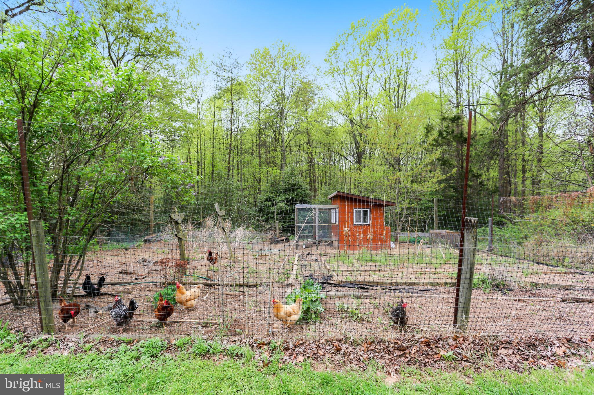 205 Bryants Nursery Road Silver Spring, MD 20905 - Photo 40 of 73