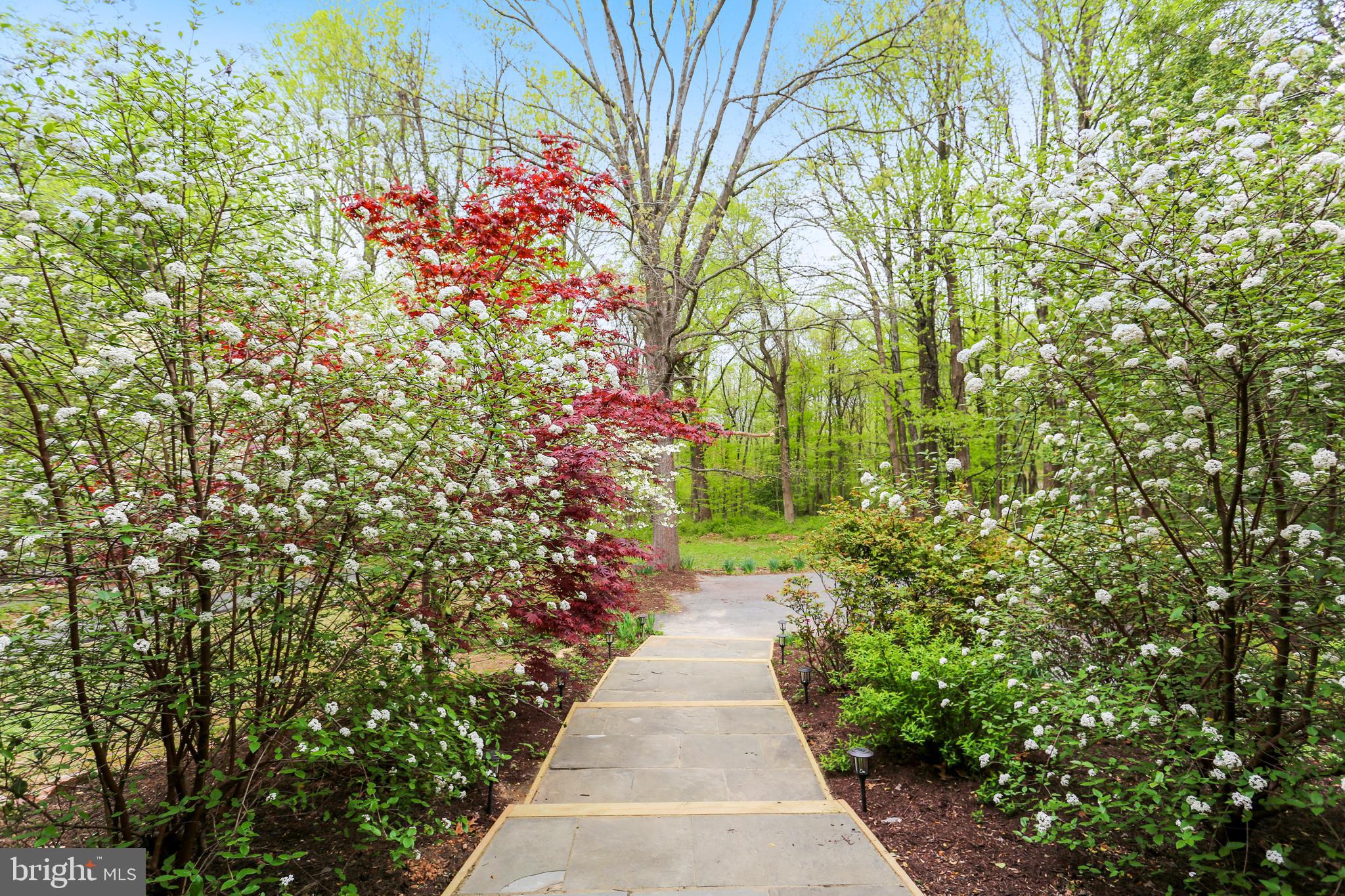 205 Bryants Nursery Road Silver Spring, MD 20905 - Photo 5 of 73