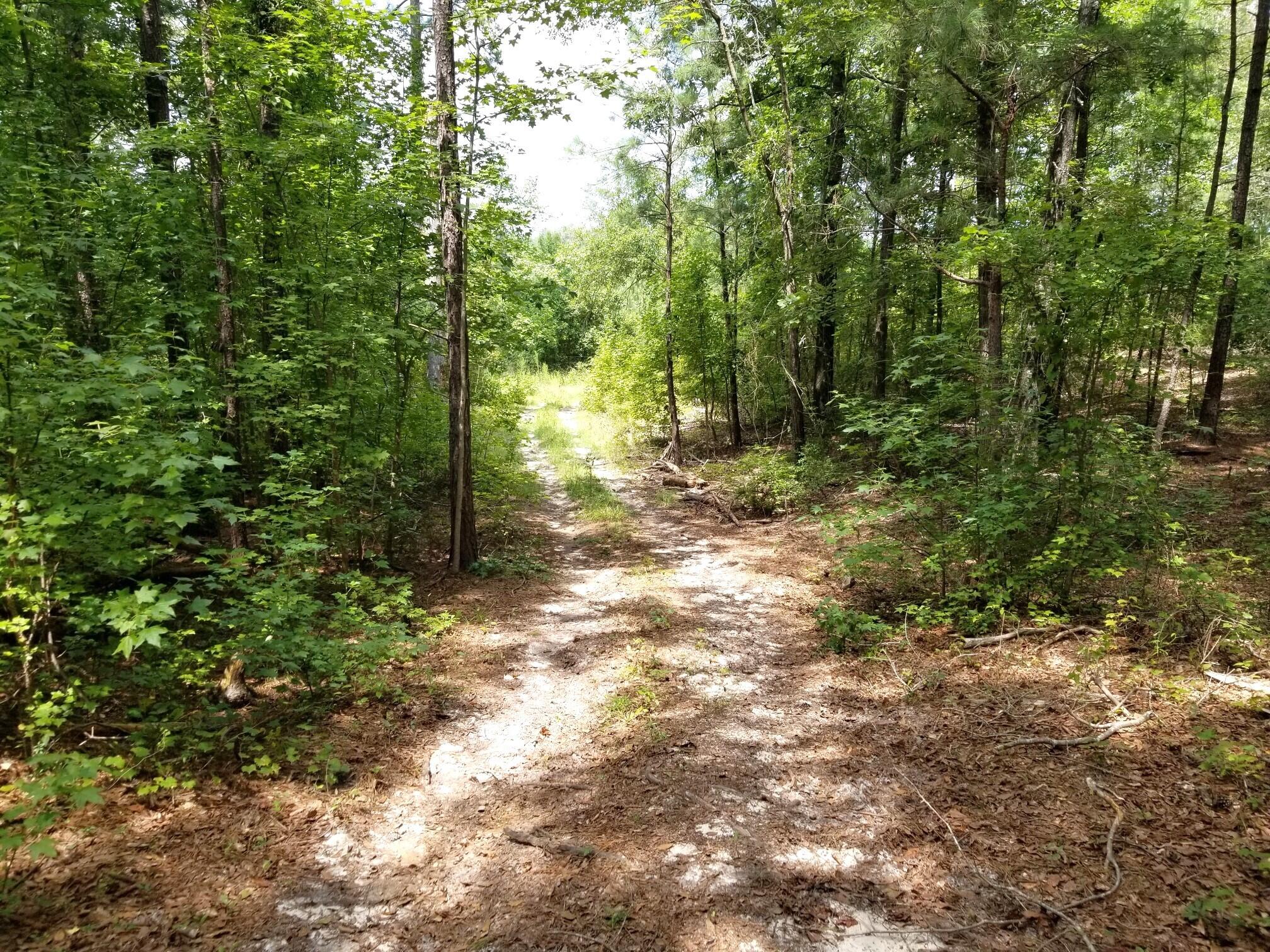 182 State Rd S-9-155 St. Matthews, SC 29135 - Photo 12 of 26 20240820_131850_resized_1